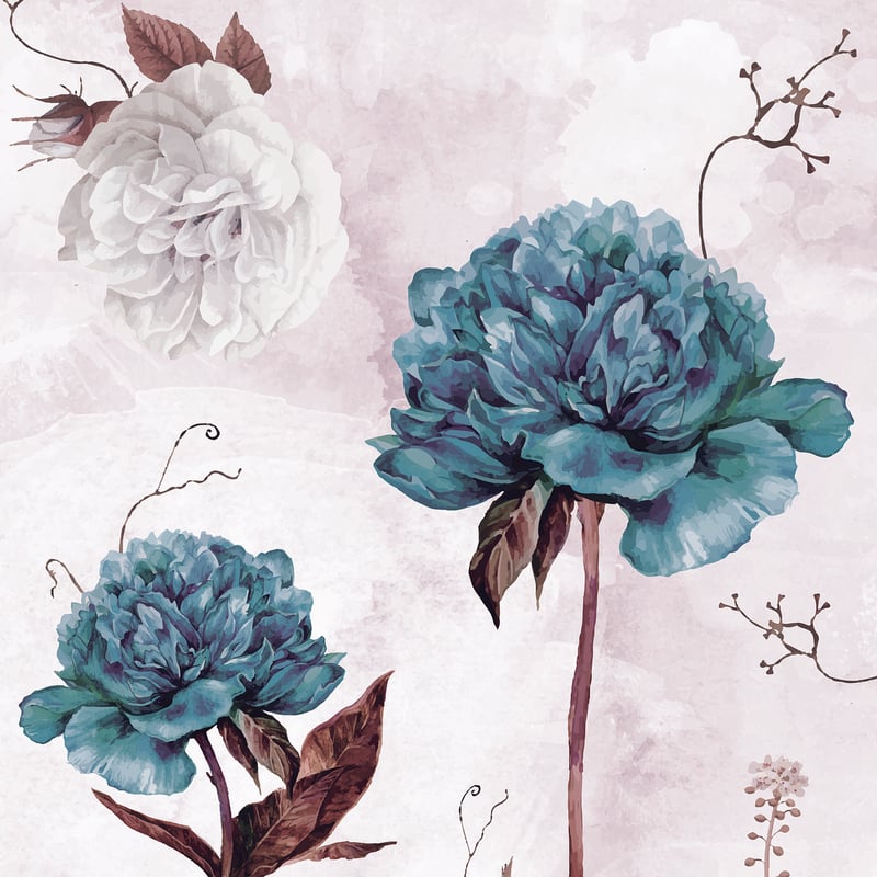 Flower Illustrations